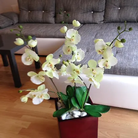 Apartmán Country Europa-park Ticket Garantie *